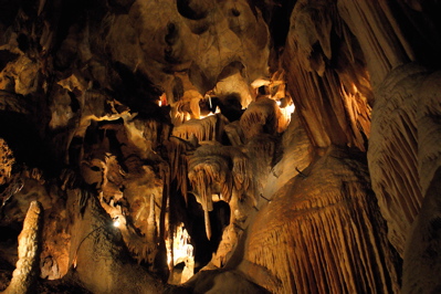 NSW Region Flagship Events